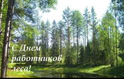 с Днем работников леса - фото - 1