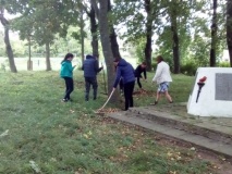 экологические субботники "Зеленая Россия" - фото - 3