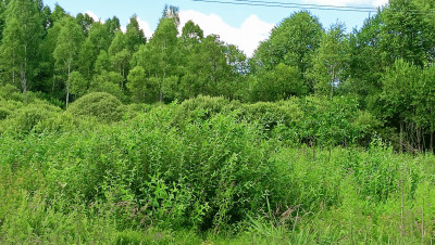 img20260713153740-2