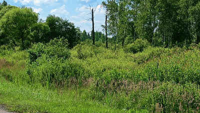 img20260713154546