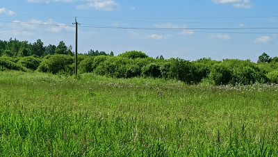 img20260713154811