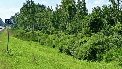 img20260713154838