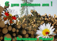 с Днем работника леса - фото - 1
