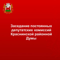 состоится заседание постоянных депутатских комиссий Краснинской районной Думы - фото - 1