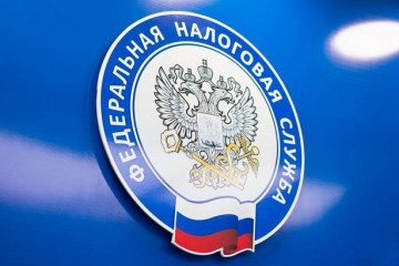 граждане Беларуси, Армении, Казахстана и Киргизии могут получить статус самозанятого в Российской Федерации - фото - 1