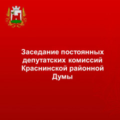 заседание постоянных депутатских комиссий Краснинской районной Думы - фото - 1