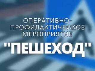 оперативно-профилактическое мероприятие «Пешеходный переход» с 24.02.2025 по 02.03.2025 г - фото - 1