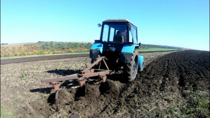 история успеха - фото - 1