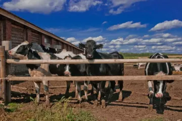 история успеха - фото - 1