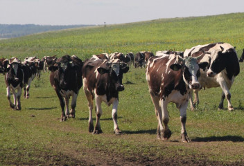 история успеха - фото - 1