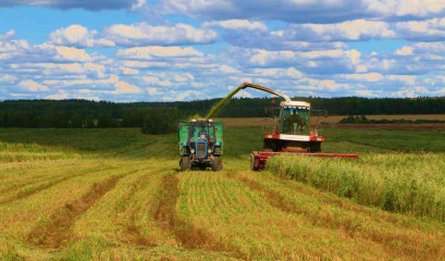 история успеха - фото - 1