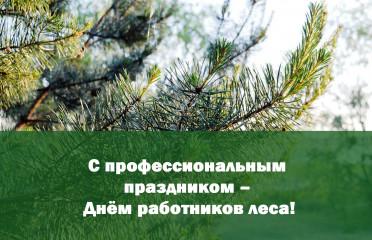 поздравление с Днем работников леса - фото - 1