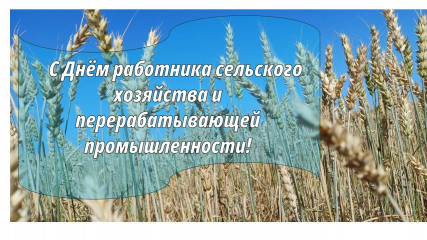 поздравление с Днём работника сельского хозяйства и перерабатывающей промышленности - фото - 1