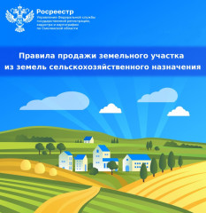 правила продажи земельного участка из земель сельскохозяйственного назначения - фото - 1