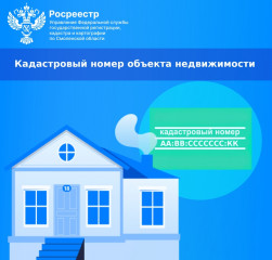 кадастровый номер объекта недвижимости - фото - 1