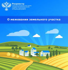 о межевании земельного участка - фото - 1