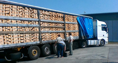 история успеха ООО «Трансрусавто» - фото - 1