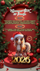 новогодняя концертная программа - фото - 1