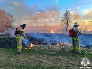 пал сухой травы: опасность и ответственность - фото - 1