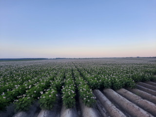 ооо «Источник СК» - фото - 1