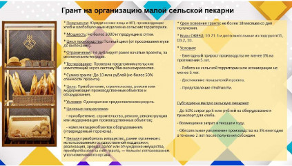 поддержка на реализацию проекта по организации малой сельской пекарни - фото - 1